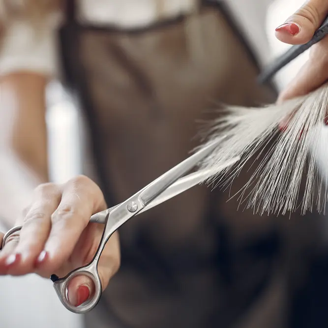 mano femminile che impugna delle forbici con le quali sta tagliando capelli